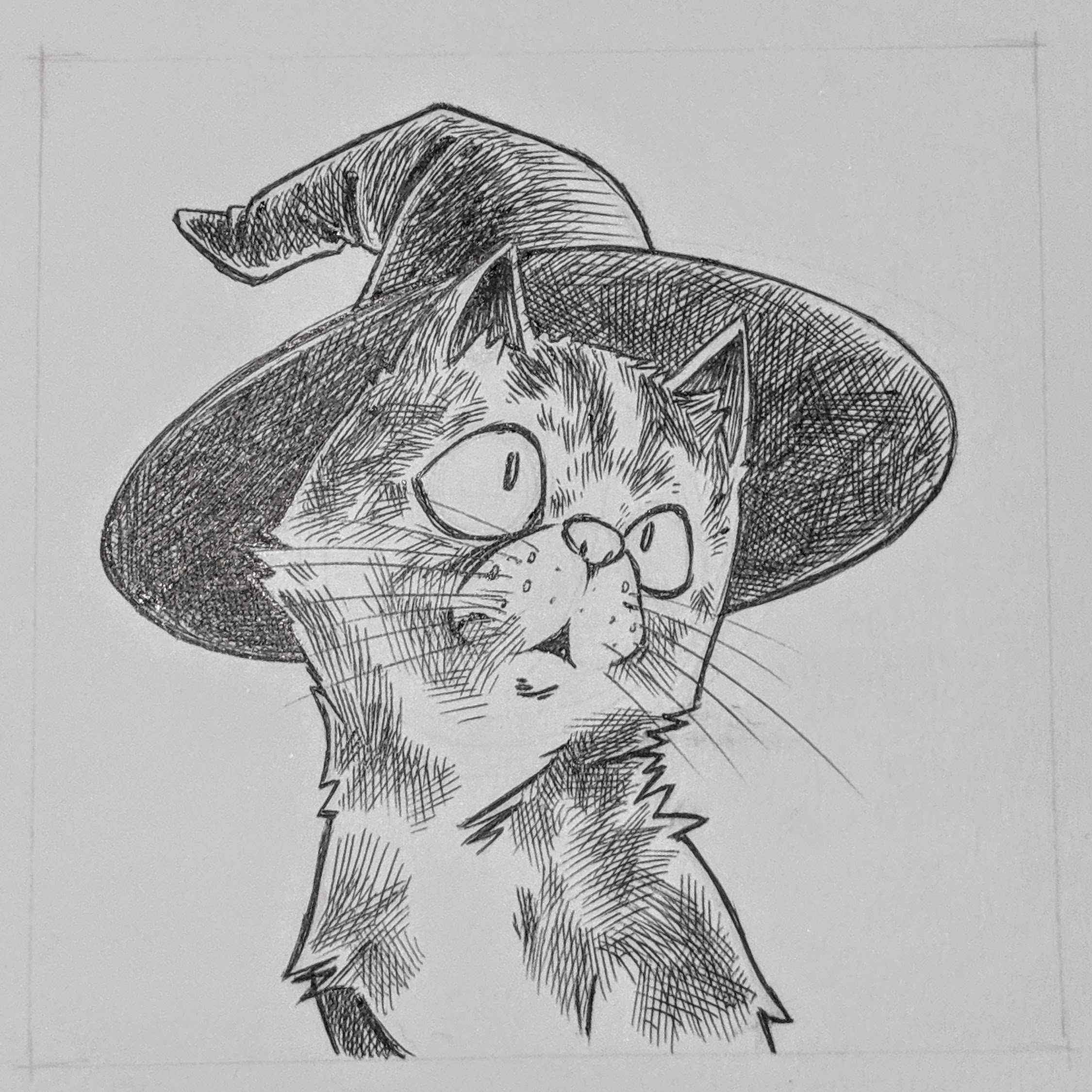 A cat wearing a witch hat