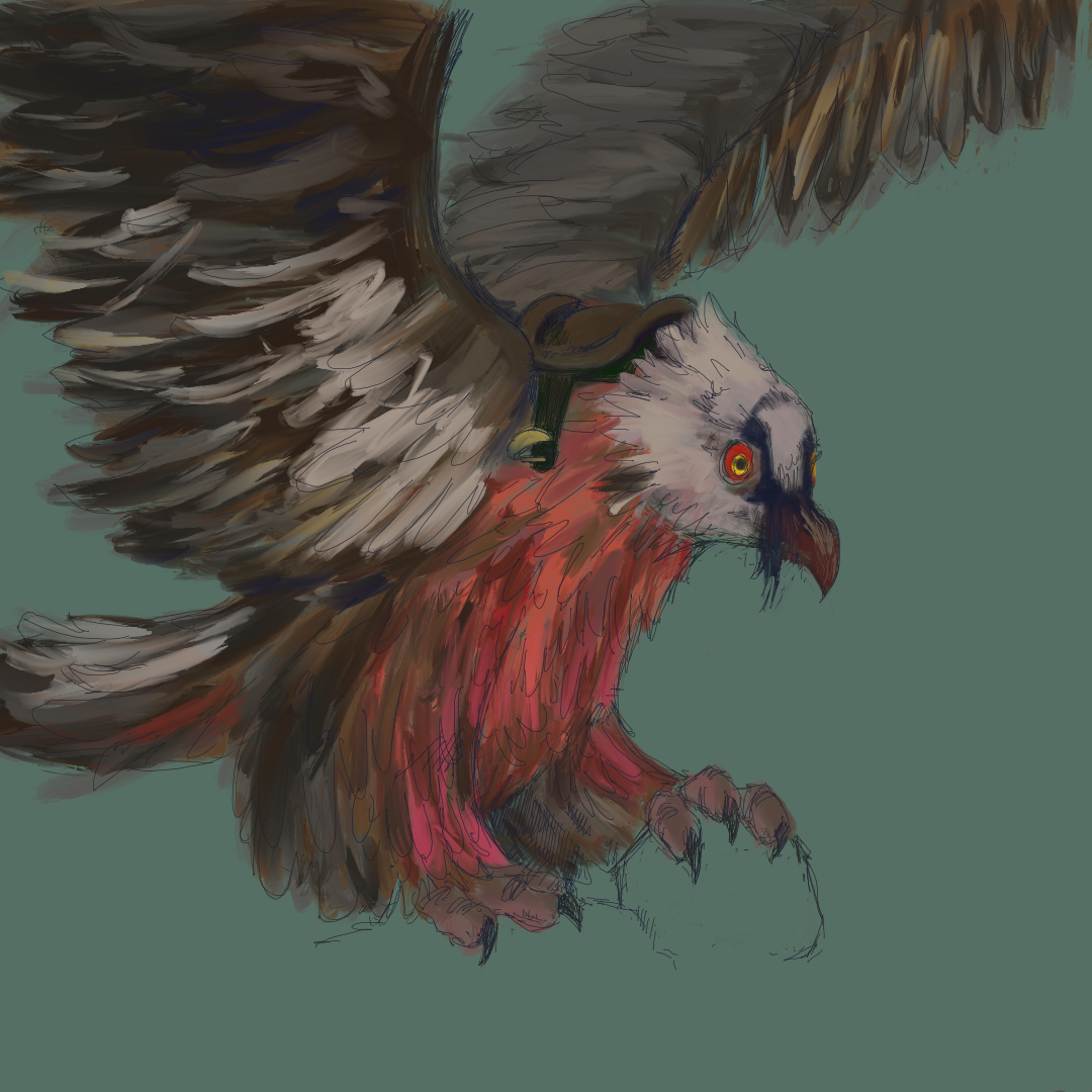 A giant bearded vulture wearing a saddle