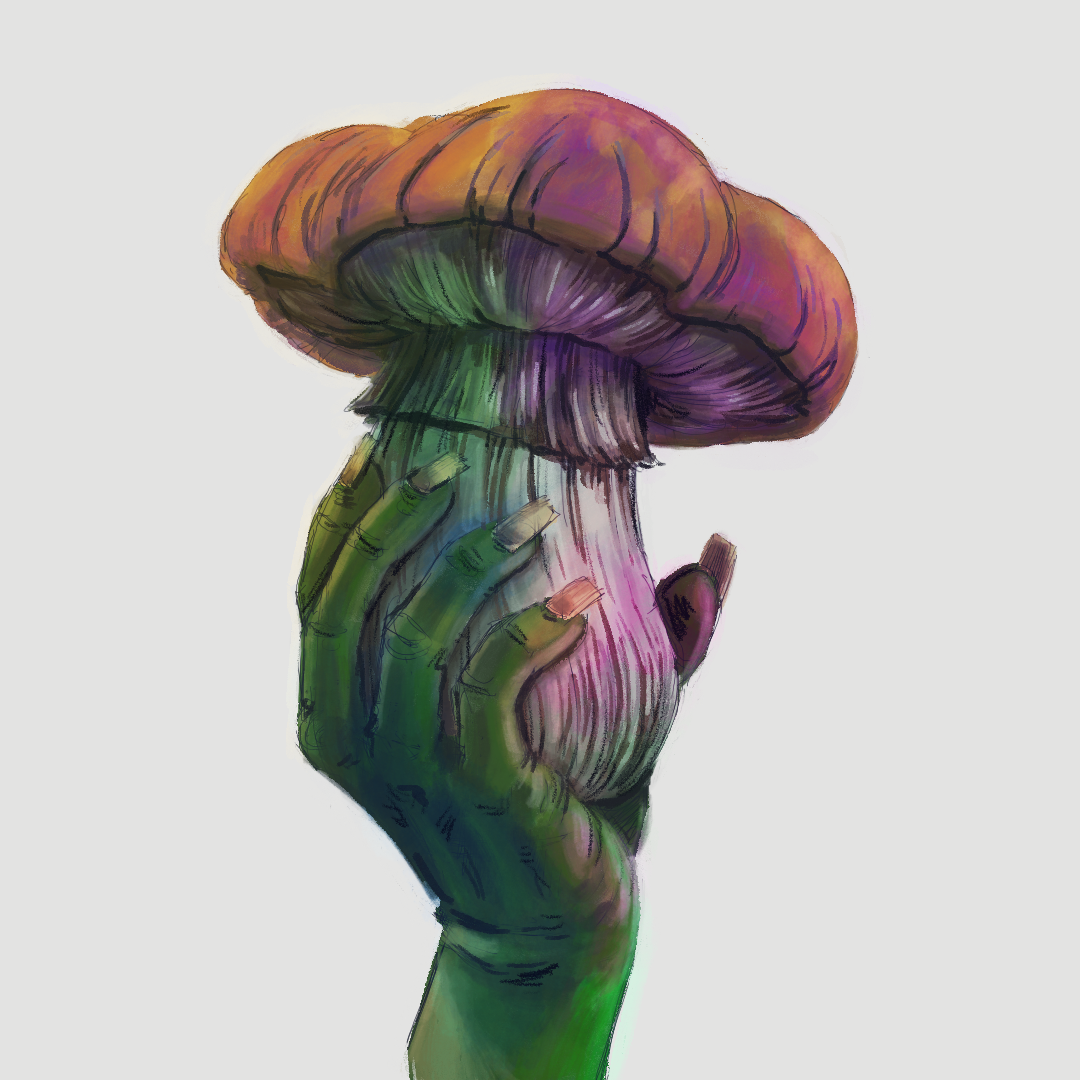 A chubby witch's hand holding a chunky mushroom