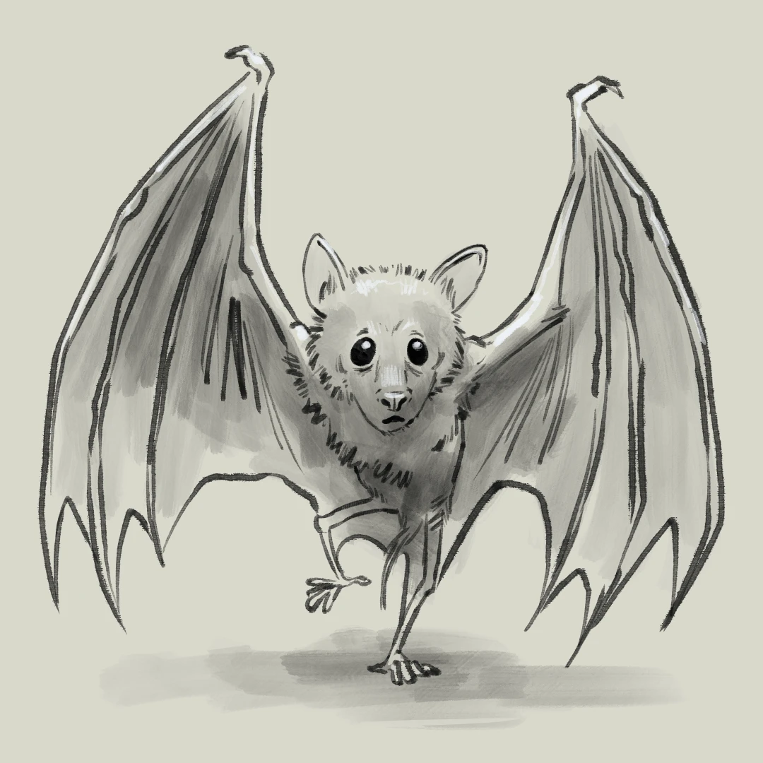 A worried-looking bat taking large awkward steps, holding its wings high