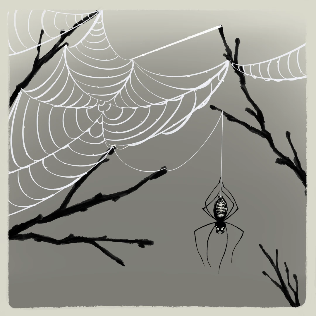 A spider weaving a web between branches