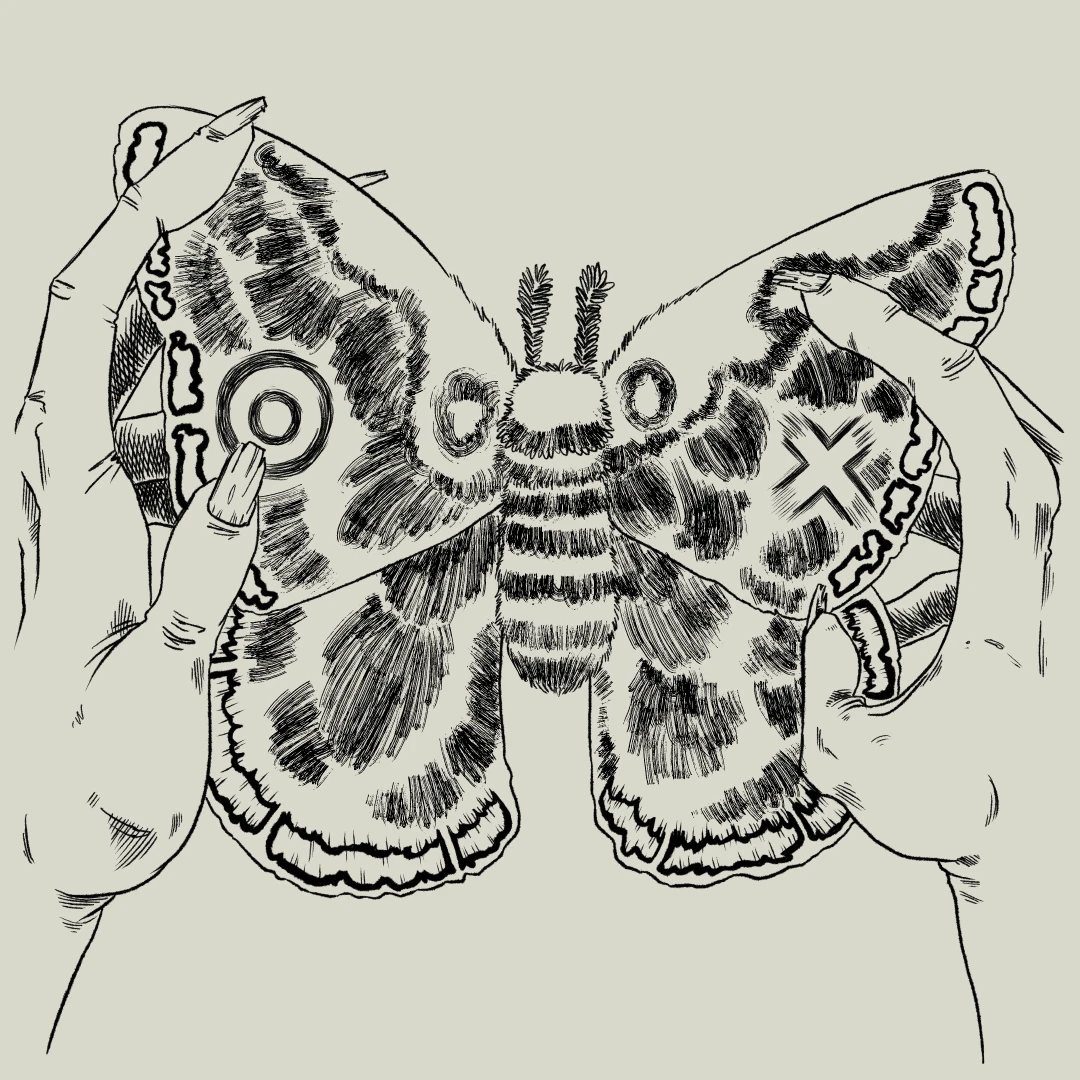 Witch hands holding a moth's wings spread apart, upon which a map is encoded in its markings