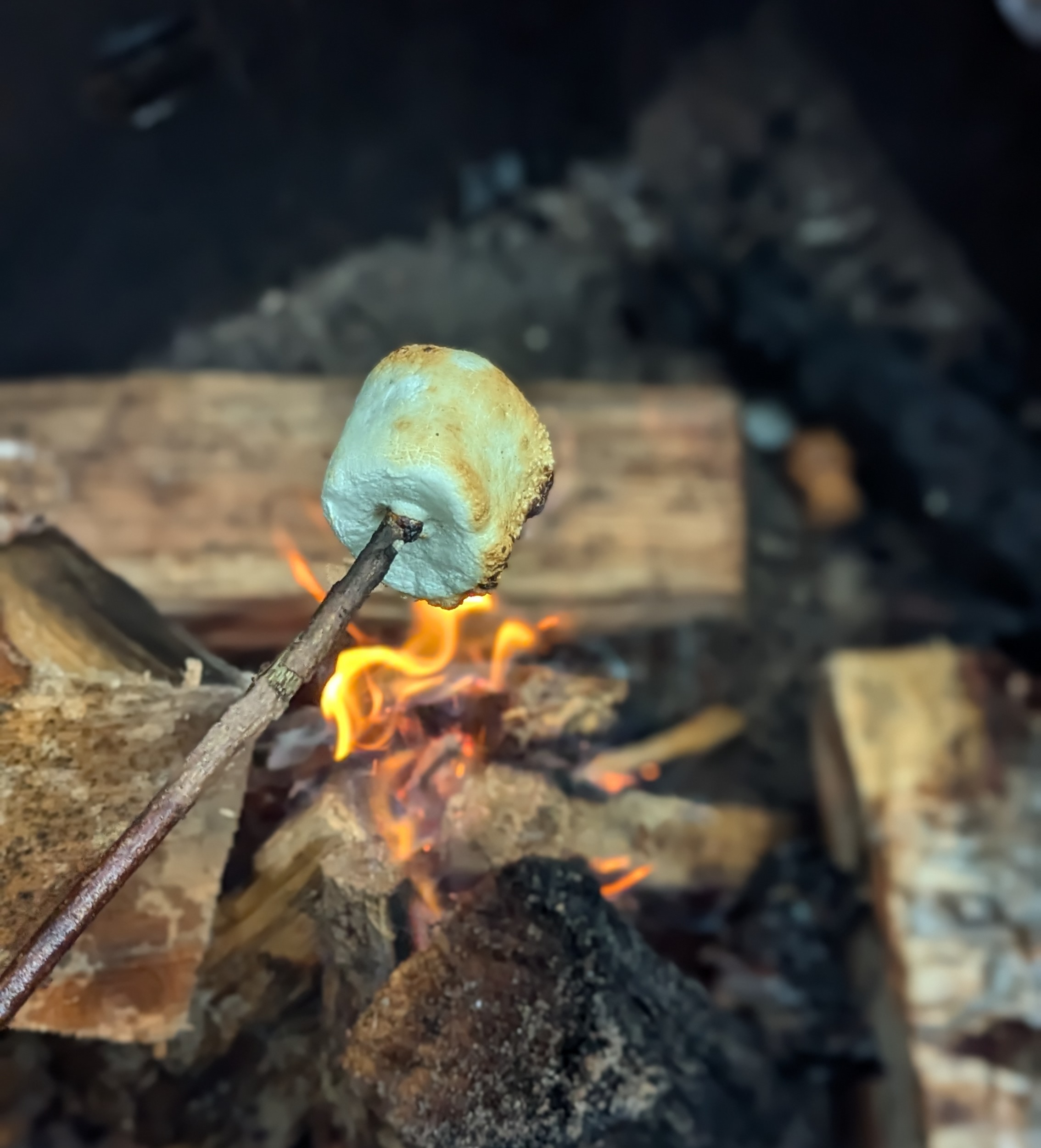 A marshmellow toasting over a campfire