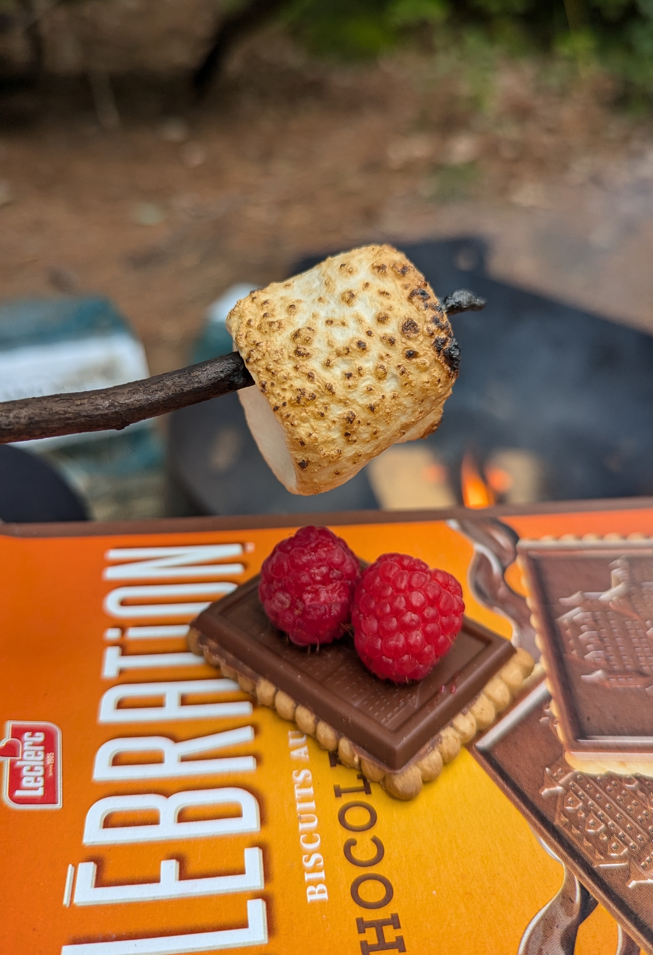 A toasted marshmellow hovering over a chocolate cookie topped with two fresh raspberries