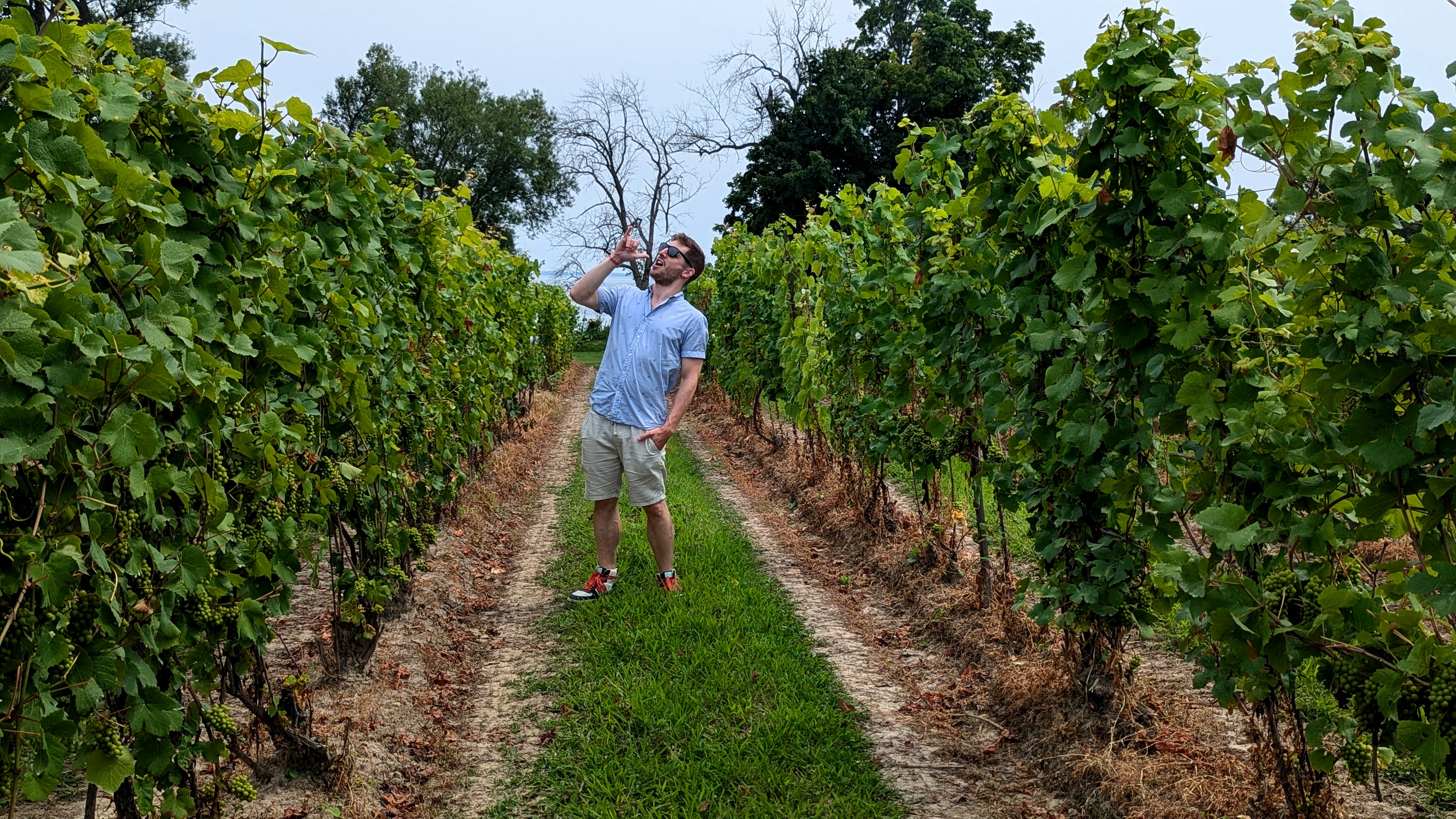 Phil standing in a vineyard row, pretending to drink from a bottle