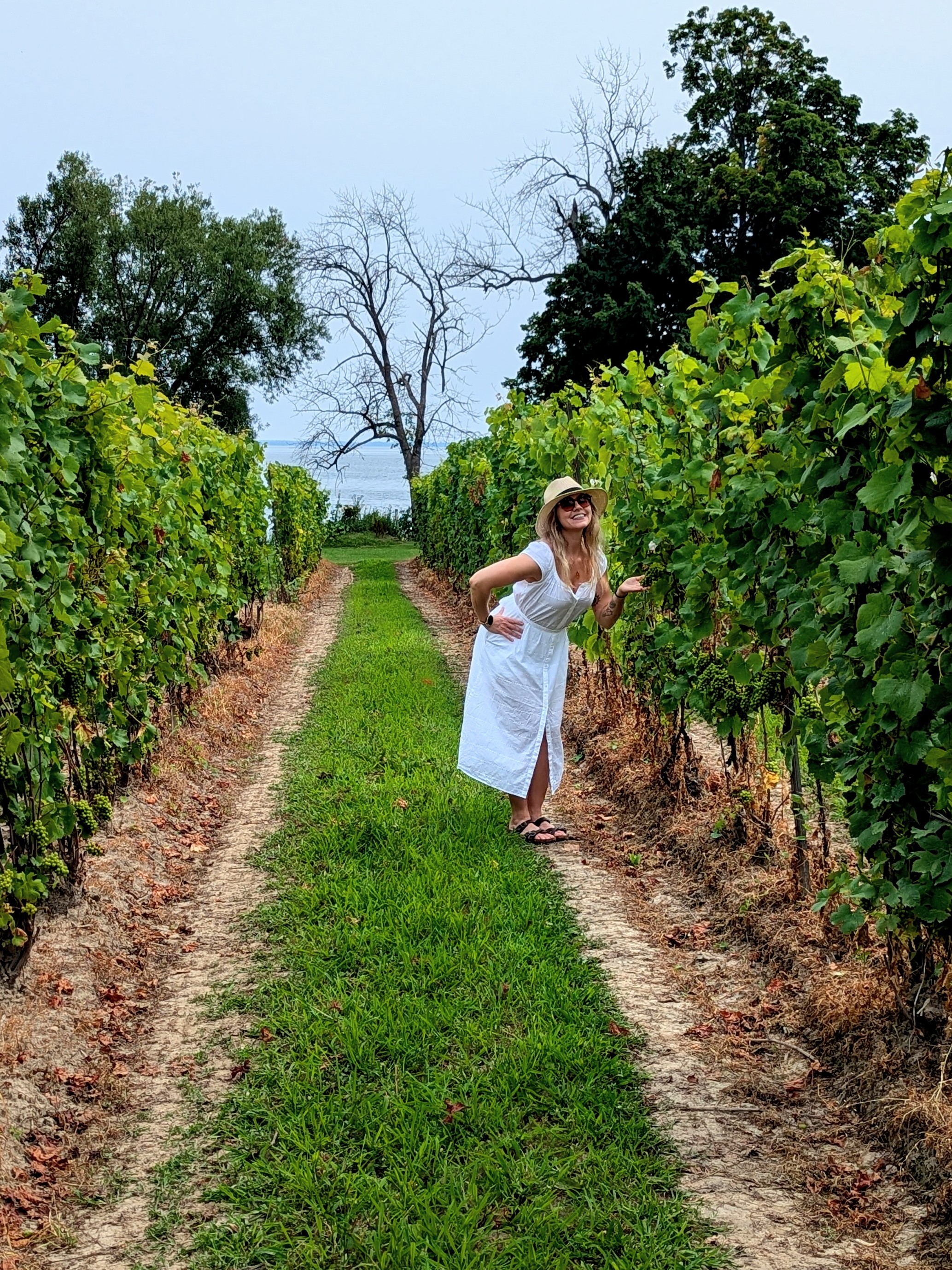 Laura standing in a vineyard row, delicately holding grapes on the vine