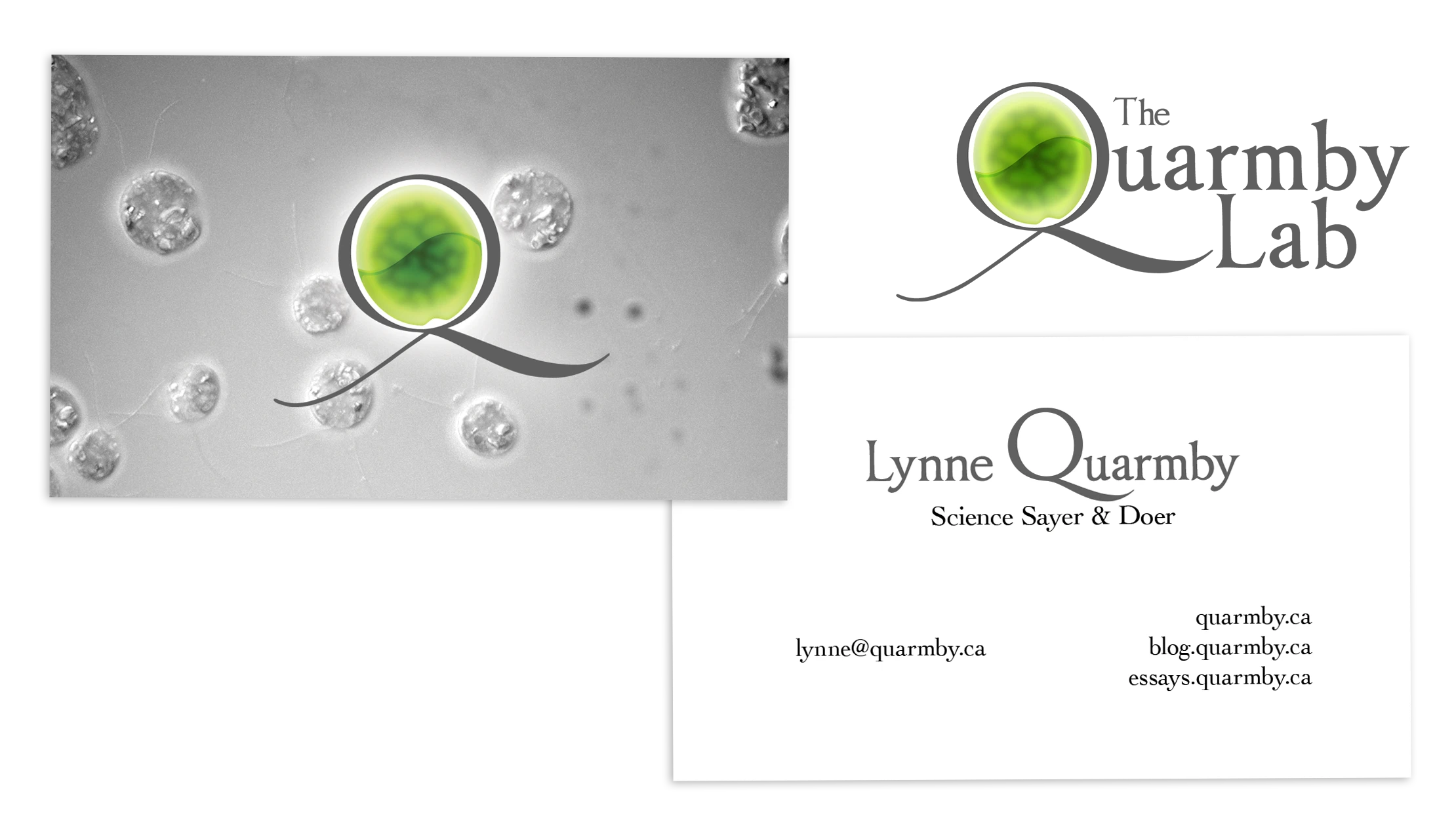 The previous Quarmby Lab logo, along with the front and back of Lynne Quarmby's business cards, where the back features the Q icon over a microscopy image of chlamydomonas reinhardtii